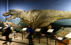Muzeum Kreacjonistyczne