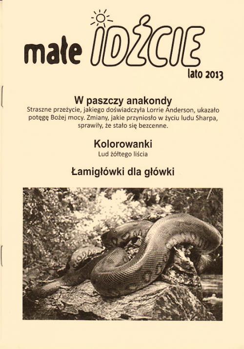 Małe IDŹCIE 6/2013